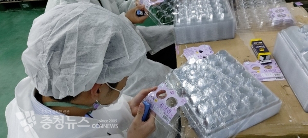 특수교육대상 학생들이 사업체에서 현장실습을 하고 있다.