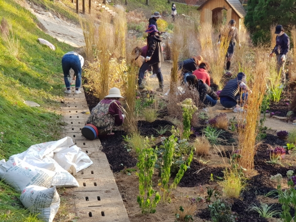 시민정원사들이 정원을 조성하고 있다