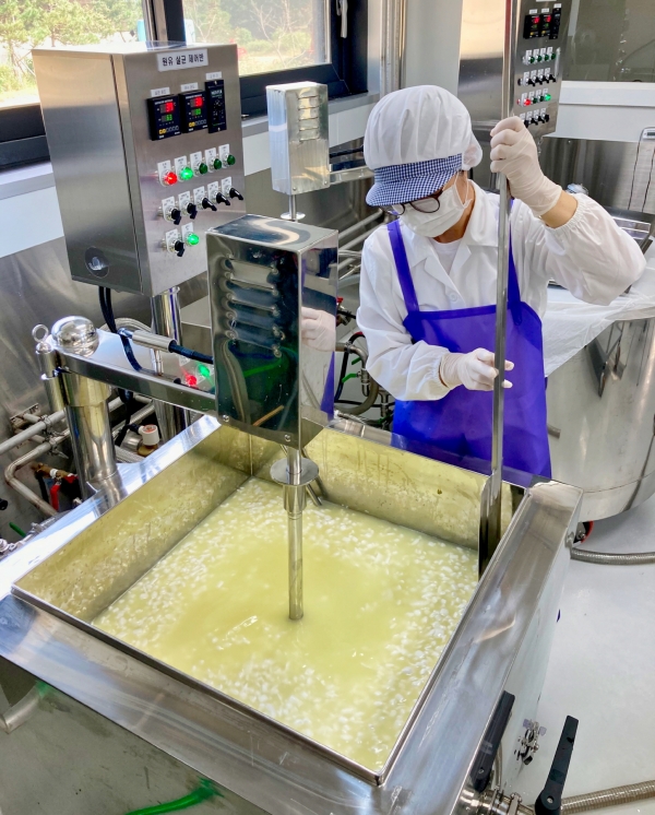 소원면에 위치한 ‘늘푸른목장’의 유가공품 생산 모습.