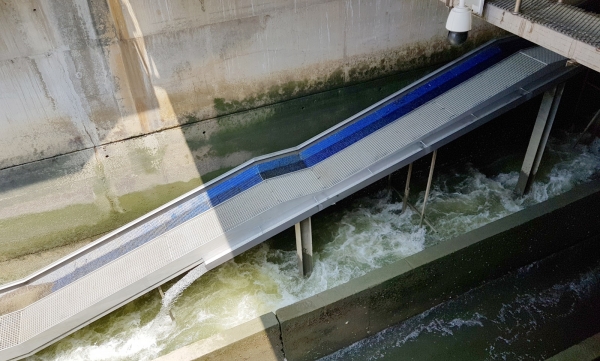 국내최초로 뱀장어 전용 어도를 개발해 회유성 어류 특성을 이용한 어도에 대한 국내특허를 취득했다