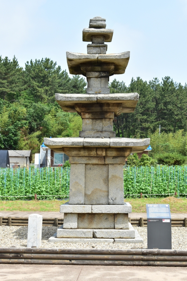 보존 처리 전 전체 사진