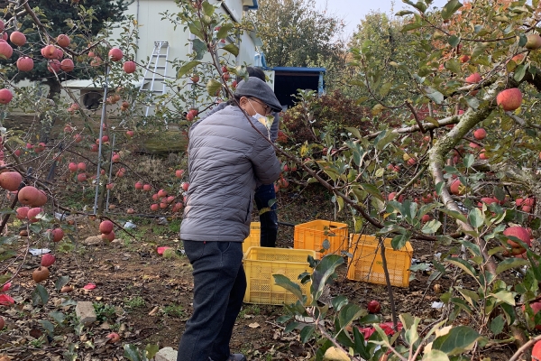 농가에서 봉사활동을 하고 있는 사회적경제기업