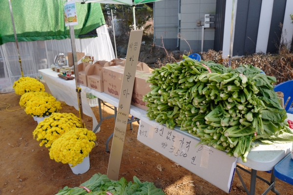 청양군  귀농인 우수 농산물 행복장터 운영 모습