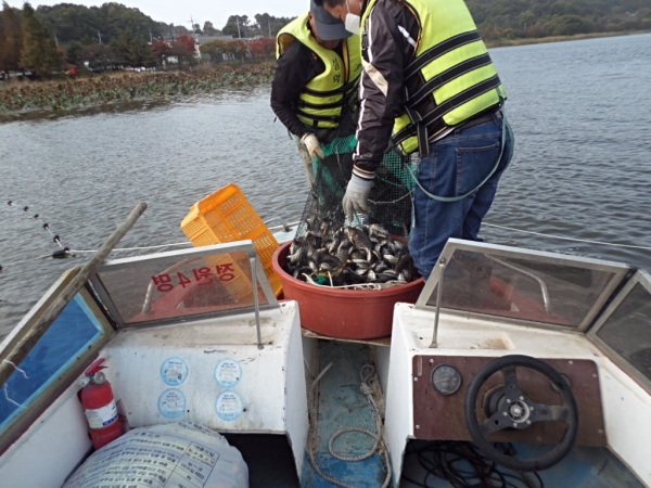 마산저수지(신정호)에서 서식생물 표본조사 모습