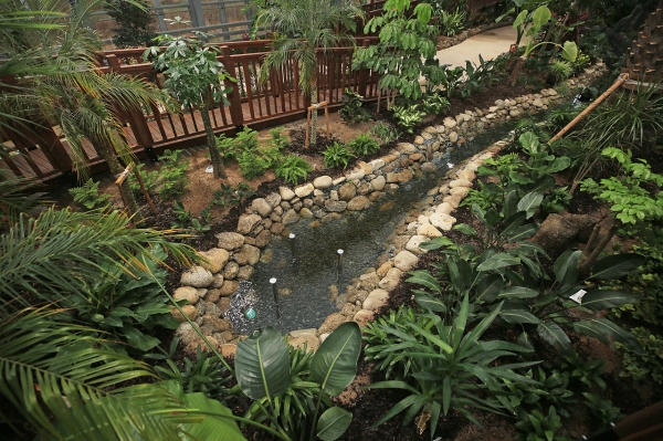 자연학습식물원 내부