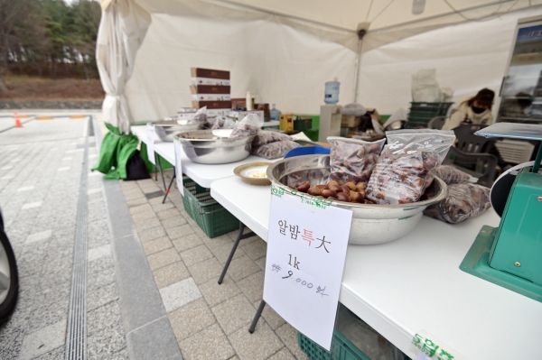 송산리고분군 드라이브 스루 판매장 오는 29일까지 운영