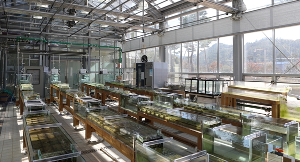 실내 하천모의생태계(Stream Mesocosm) 모습