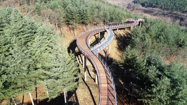성주산 숲 하늘길 조성 장면