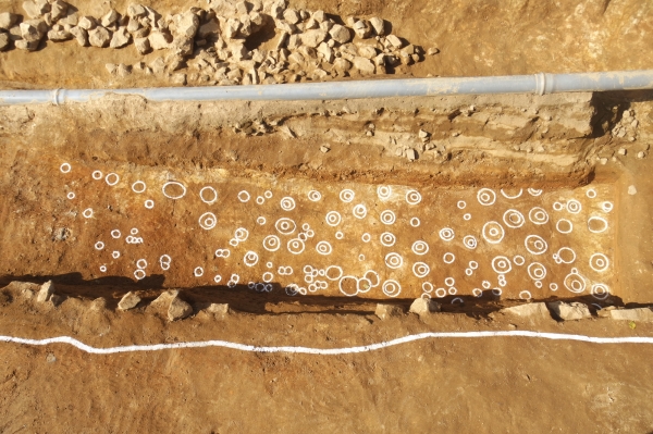 ‘서천읍성’에서 온전한 모습으로 드러나 (해자 목익흔)