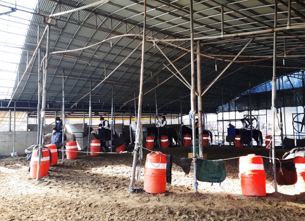 지난 1일 장애인 대상 2020단기스포츠체험강좌 일환인 승마체험 장면