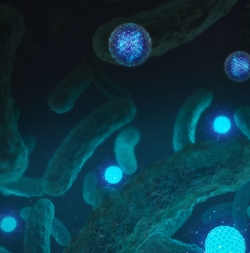 어드밴스드 펑셔널 머티리얼즈 표지.