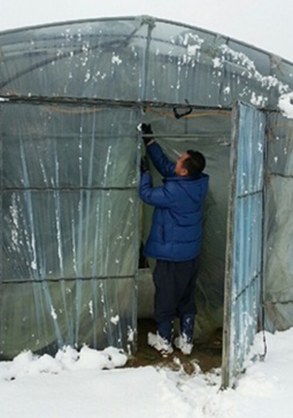 겨울철 농작물․시설물 관리요령