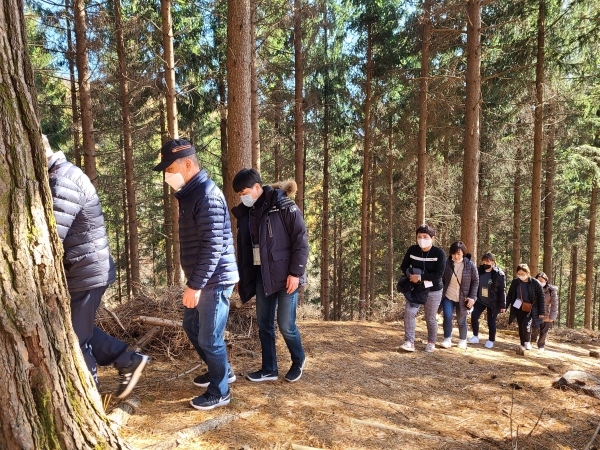 강원 횡성군 둔내면 국립횡성숲체원을 방문한 고객들이 지난해 11월 숲길을 오르며 ‘대.다.나.다’ 프로그램(우수상)을 체험하고 있다.