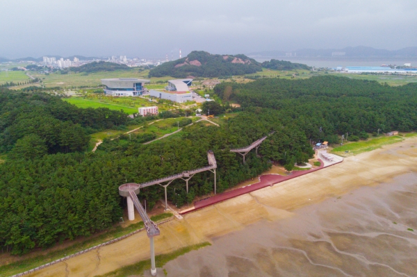 서천 장항송림산림욕장과 스카이워크