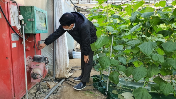 한파·폭설 대비 농작물 및 주요 영농시설 안전관리 점검 모습