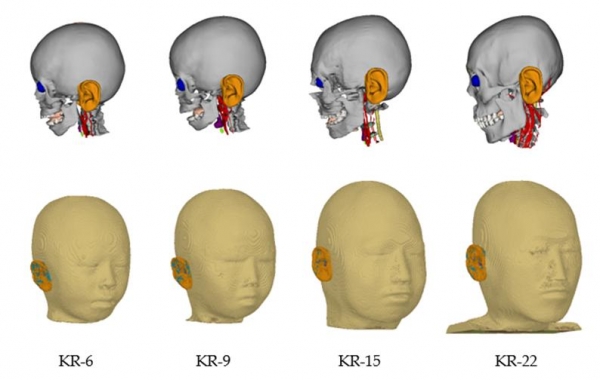 한국인 표준 머리 모델