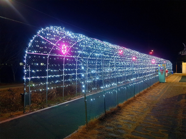 온석지에 설치한 루미나리에