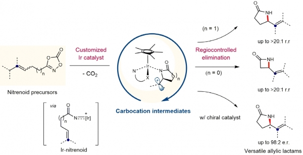 IBS 분자활성 촉매반응 연구단이 개발한 촉매는 친전자체인 나이트렌을 일시적으로 형성해 탄소양이온을 효과적으로 만들어낸다. 이후, 촉매가 제거반응에 직접 관여하도록 유도하여 유용한 락탐만을 높은 정확성(95%)으로 합성하는 기술을 개발했다.