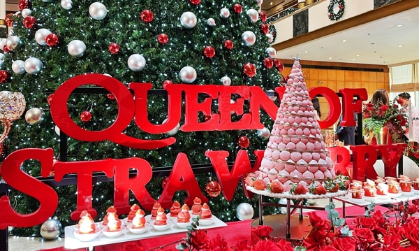 한국산 딸기 뷔페 런칭 이미지