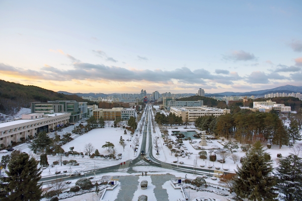 충남대학교 겨울 전경