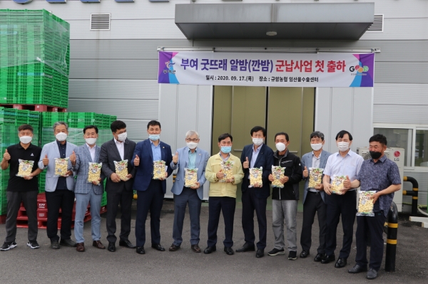 굿뜨래 알밤 군납 첫 출하 개시