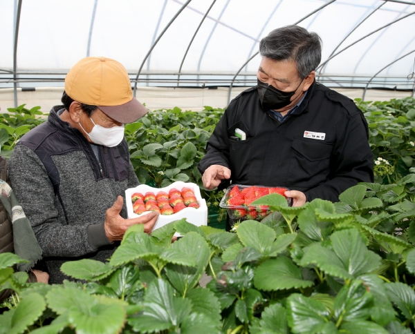 태안읍 송암리 태안유성농원을 방문한 가세로 태안군수 모습.