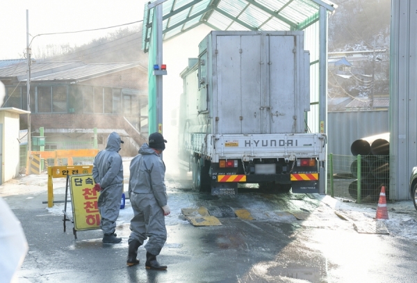 세종시 부강면 한 양계농장에 AI바이러스가 검출돼 방역당국이 긴급방역조치에 들어갔다.