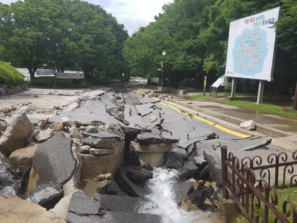 태조산공원 피해상황 모습