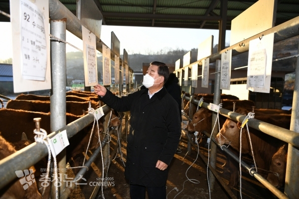 황선봉 예산군수가 가축 경매시장을 살펴보는 모습