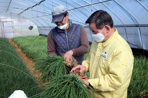 노박래 서천군수, 영농현장 찾아 소통행정 모습