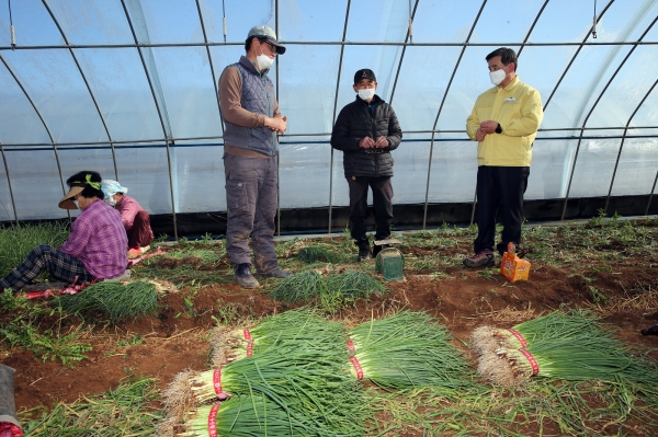 노박래 서천군수, 영농현장 찾아 소통행정 모습