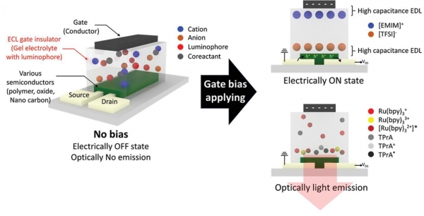그림 1. 연구팀이 개발한 전기화학적 발광 스위칭 소자의 구조 및 구동 원리. (좌) 젤 전해질이 포함된 발광 트랜지스터 모식도. (우) 인가된 외부전압에 의해 전기적인 스위칭 (우-상)과 전기화학적 빛방출 (우-하) 특성이 동시에 발현 가능한 발광 스위칭 소자를 개발함
