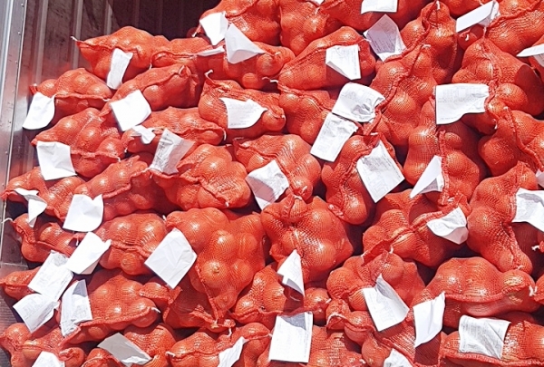 수입산 양파 사진