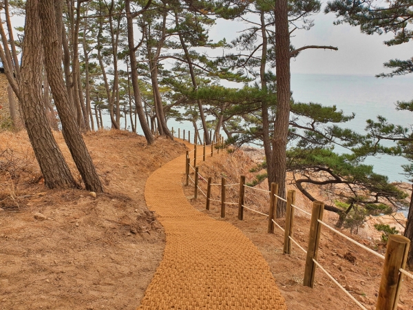 ‘뭍닭섬-천리포수목원 해안데크(뭍닭섬 산책로)’ 모습.