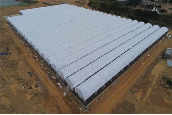 당진화력 온배수열 활용한 첨단 친환경 양식장 전경