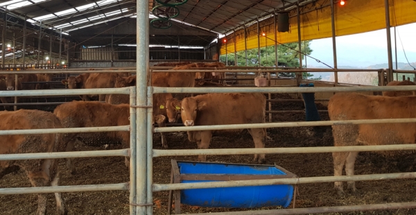 퇴비부숙도 의무화 앞두고 가축분뇨 관리 당부