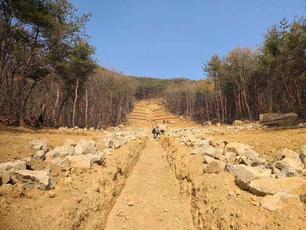 산림피해지역 복구하는 장면