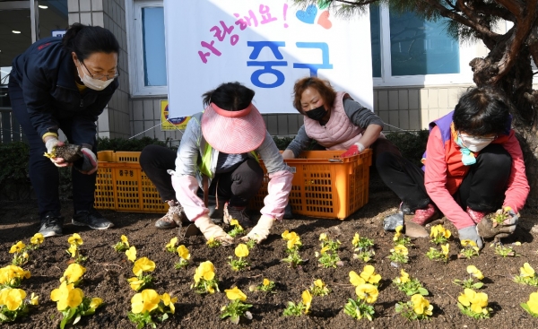 16일 중구청 봄꽃식재 모습