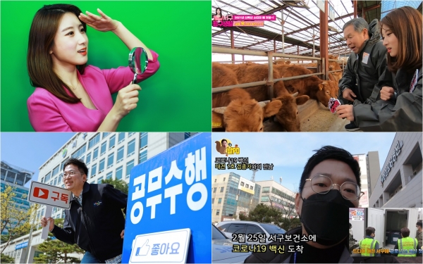 서구탐구생활, 날PD 콘텐츠 관련 이미지