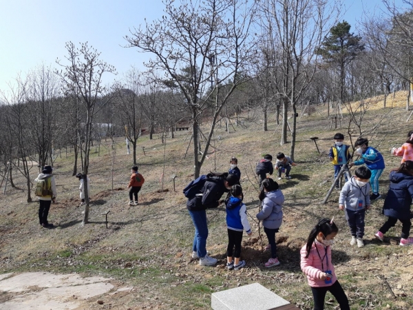 숲 해설가 선생님과 신나게 놀면서 배워요