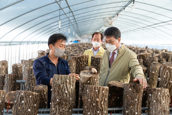 김돈곤 군수, 운곡면 표고 농가 방문 모습