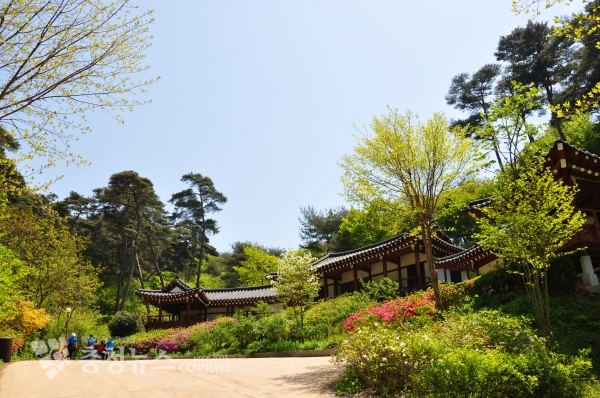 안면도자연양림(한옥동)