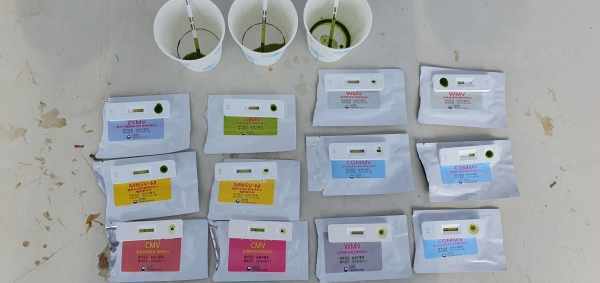 청양군  식물 바이러스 키트 활용한 ‘2분 진단’ 추진