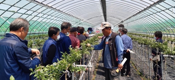 청양군  국민건강 기여 위한 농업 융복합 추진-구기자 재배교육