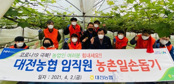 임직원 농번기 일손돕기 모습