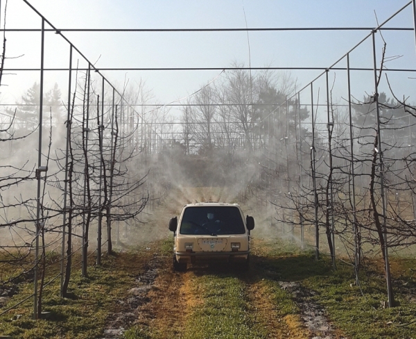 사과, 배 재배 과수농가 50가구 10ha 면적에 화상병 약제를 지원