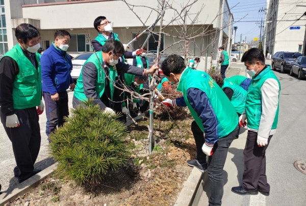나눔 과수원 조성 모습