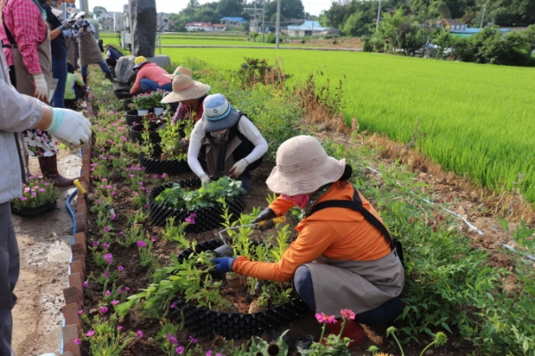 당진시자원봉사센터의 5G 프로젝트 봉사현장 사진