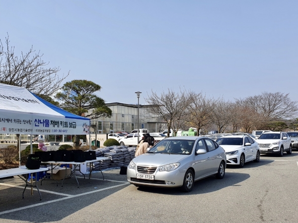 드라이브스루 방식으로 산나물재배키트 보급중인 사진