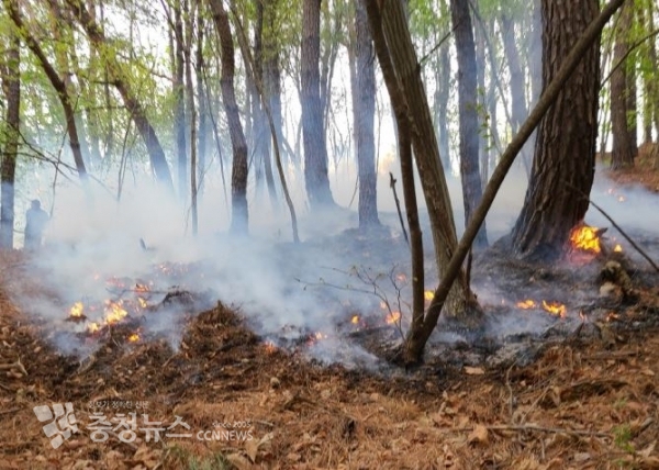 경기 양평 화재 현장 (사진 = 산림청 제공)